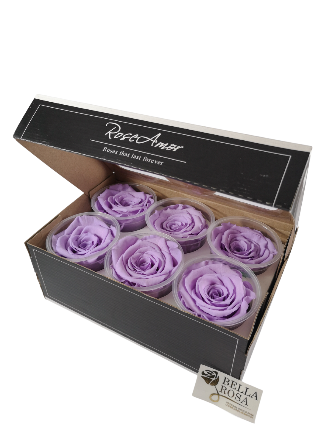 Caja de 6 Rosas Preservadas Violeta