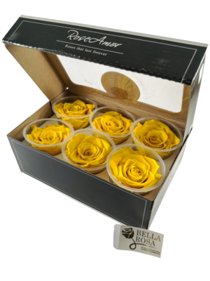 Caja con 6 rosas preservadas color amarillo 