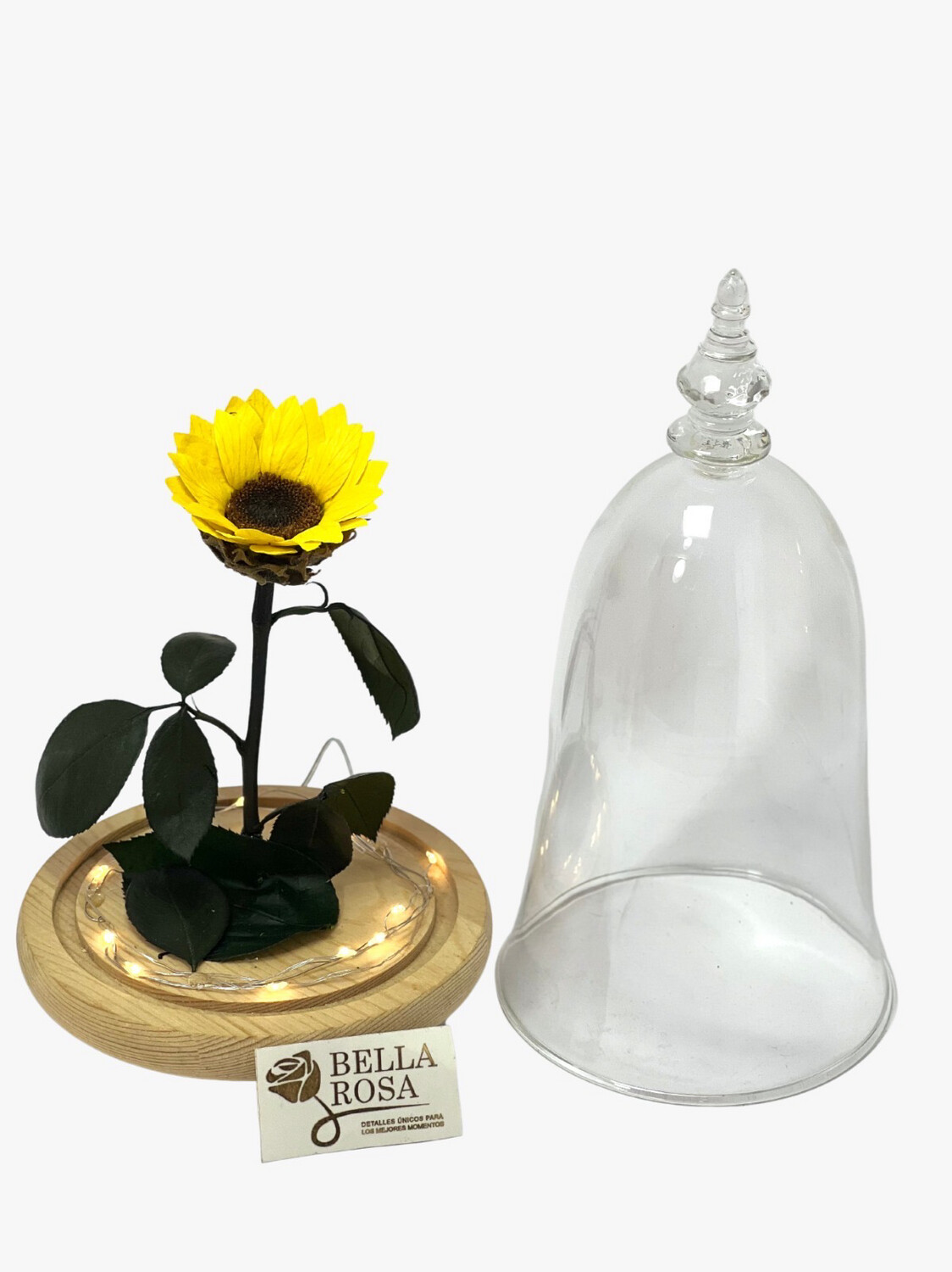 Cúpula de cristal