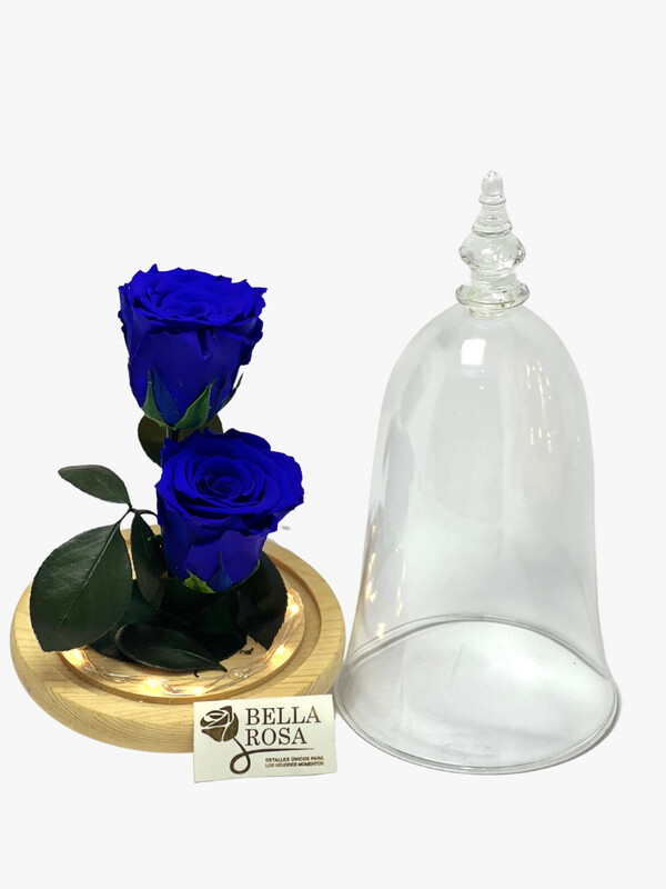 Cúpula Premium