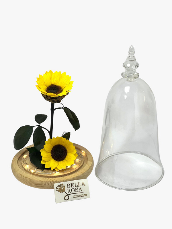 Cúpula de cristal