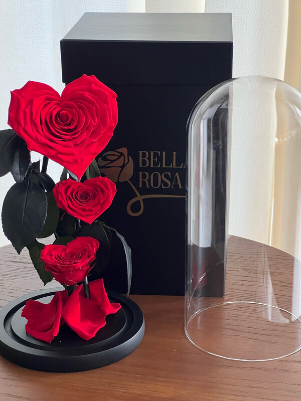 Jardín de rosas en forma de corazón