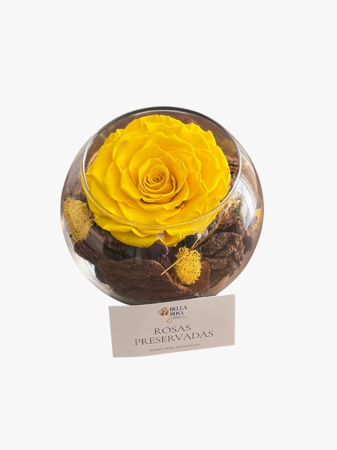 Rosa Preservada Amarilla en Base de Vidrio