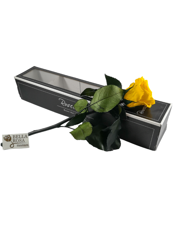 Rosa Amarilla Con Tallo