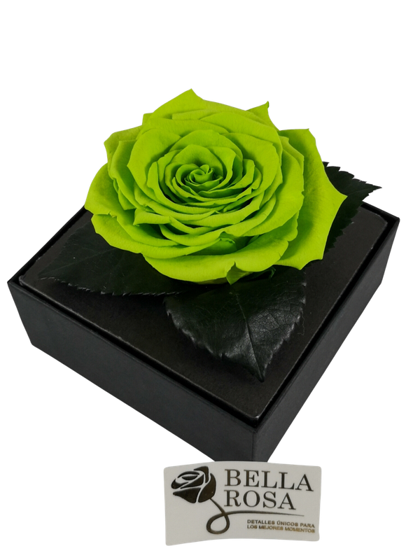 Rosa Preservada Verde Caja Acrílica
