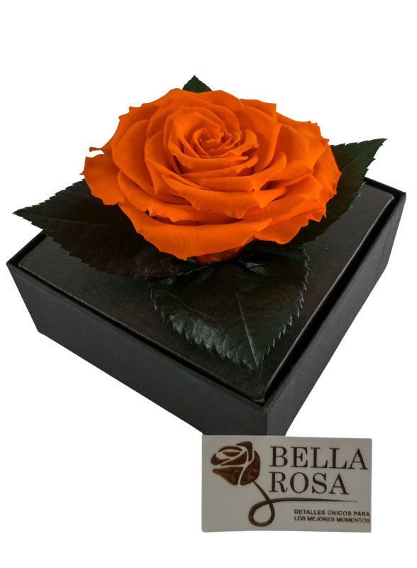 Rosa Preservada Anaranjada Caja Acrílica