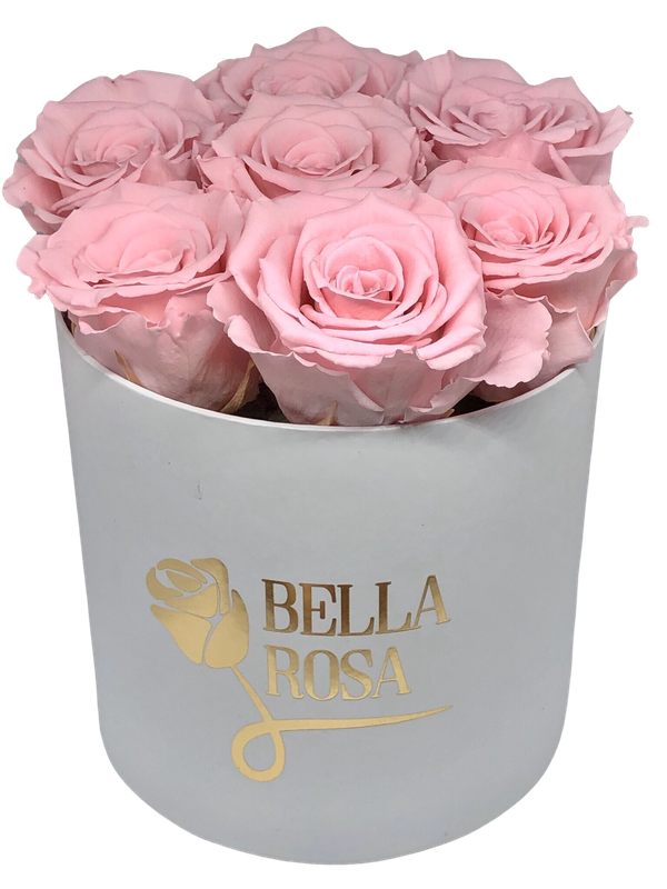 Caja redonda con 8 rosas preservada