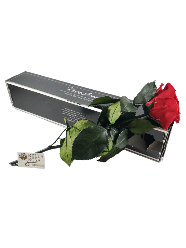 Rosa Roja Con Tallo