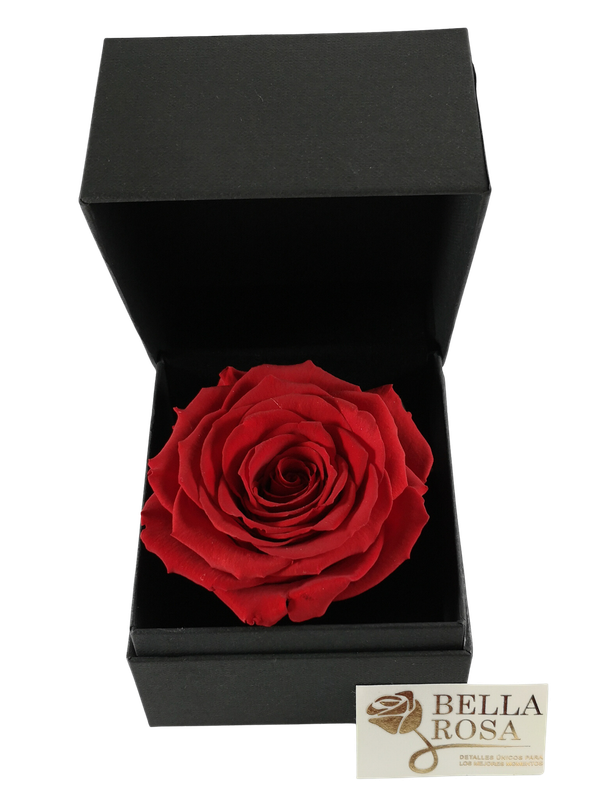 Rosa Preservada Roja ( 9.5x 9.5) en Caja Negra Elegante (9x8cm)
