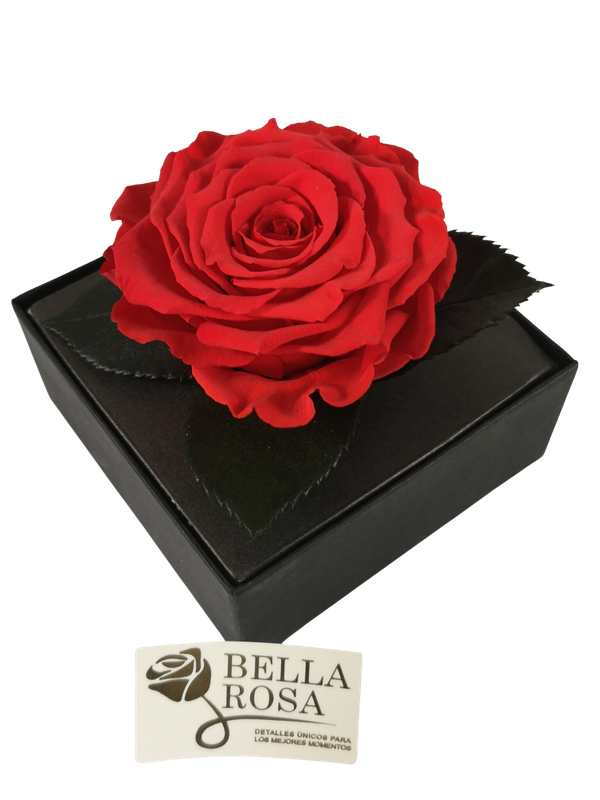 Rosa Preservada Roja Caja Acrílica