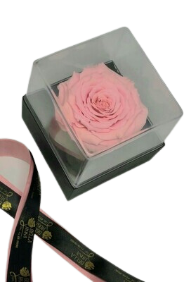 Caja acrílica pin 04