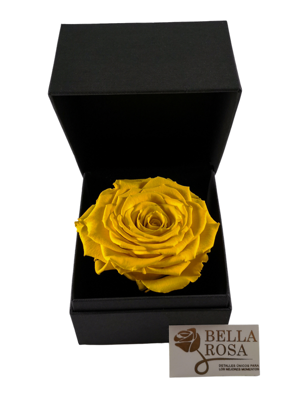 Rosa Preservada Amarilla 9 cm x8 cm, en Caja Negra Elegante 9.5x9.5 cm