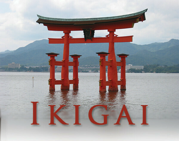 IKIGAI Coffee (Infused with Hemp Oil CBD) With Geisha Beans, 