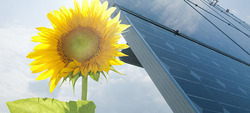Renewable Energy