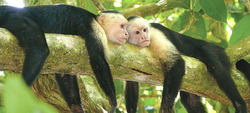 Costa Rica