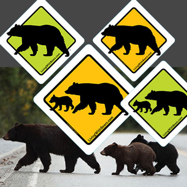 Black Bear Sign Artwork (all 4 versions)