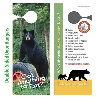 Bear Country Door Hangers