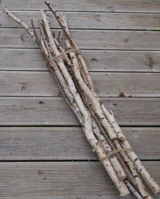 Birch Branches