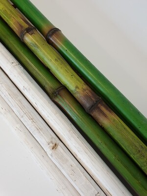 Bamboo coloured stems