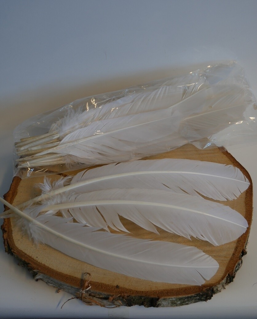 White Goose Feathers