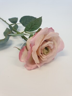 Rose Lilac Medium