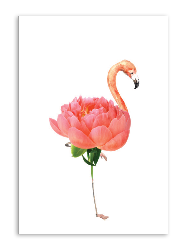 Blank with Pink Flamingo Folding Card