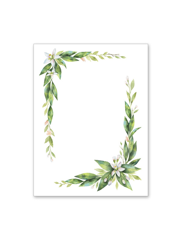 Blank with Foliage and White Flower Border Small Card