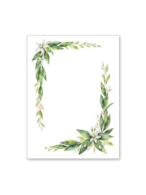Blank with Foliage and White Flower Border Small Card