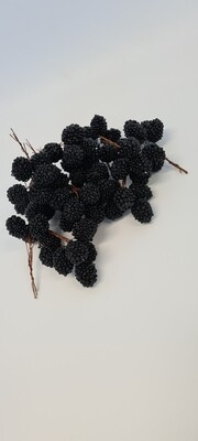 Blackberries on Wire