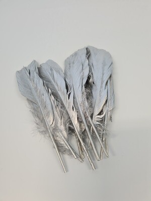 Feathers Silver