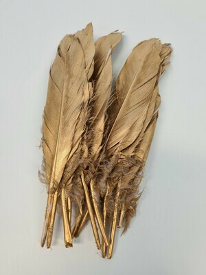Feathers Gold