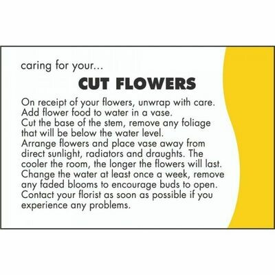 Cut Flower Care Card