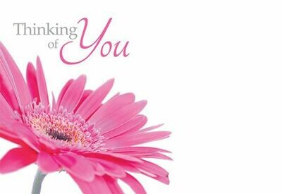 Thinking Of You with Pink Gerbera