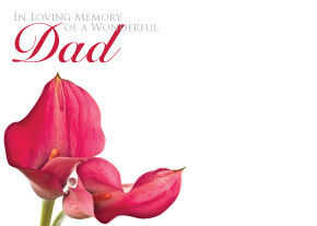In Loving Memory of a Wonderful Dad with Pink Calla