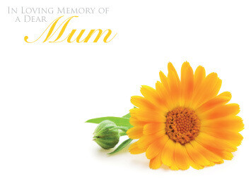 In Loving Memory of a Dear Mum with Orange Aster