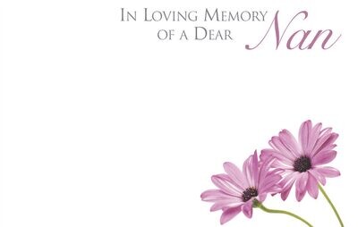 In Loving Memory Of A Dear Nan with Pink Daisy