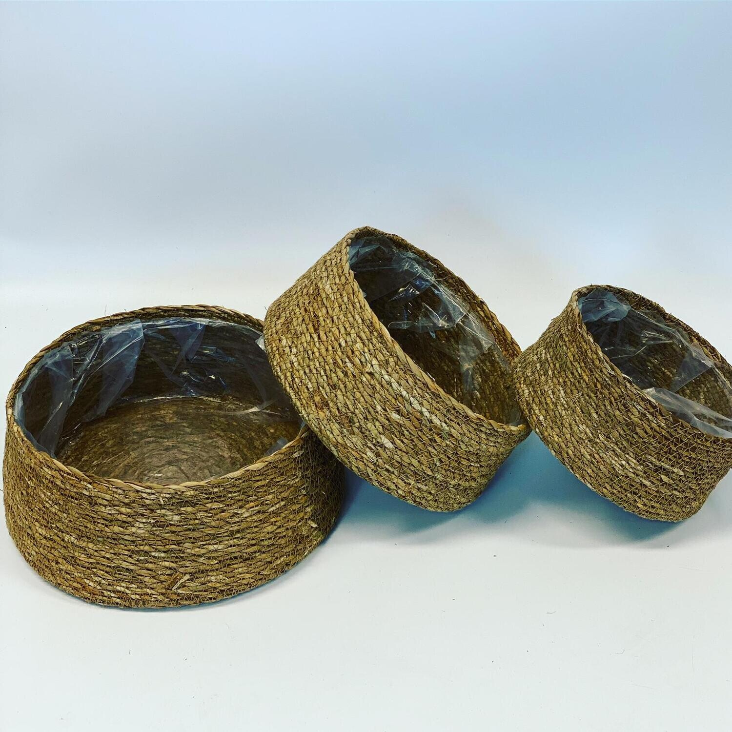 Set of Three Shallow Seagrass Baskets