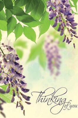 Thinking Of You with Purple Wisteria