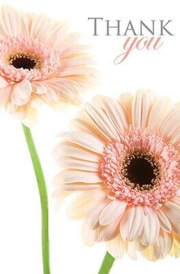 Thank You with Pink Gerbera