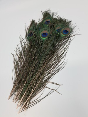 Peacock Feathers Natural 25 cm