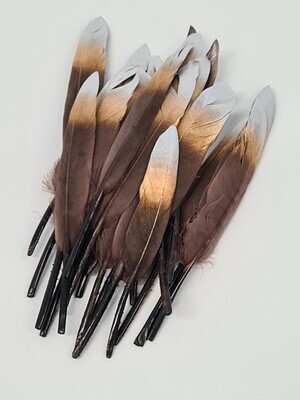 Mini Brown Goose Feathers Silver/Gold