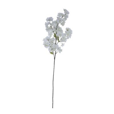 Blossom White