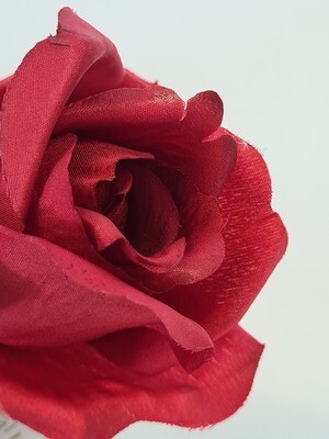 Rose Red Small