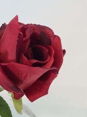 Rose Dark Red Small