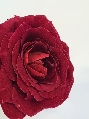 Red Velvet Flat Rose