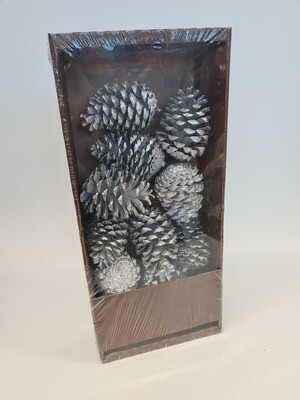 Box of Silver Pinecones
