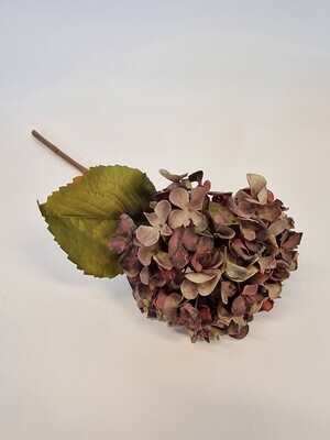 Dried Look Hydrangea Purple