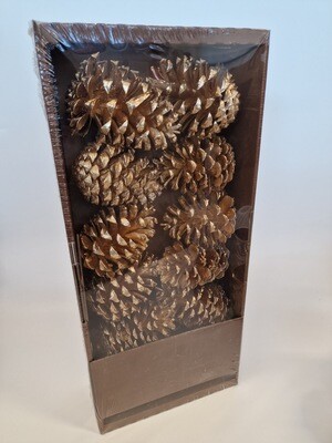 Box of Gold Pinecones