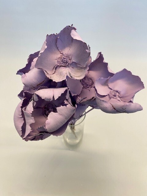 DRIED PALMCUP LILAC