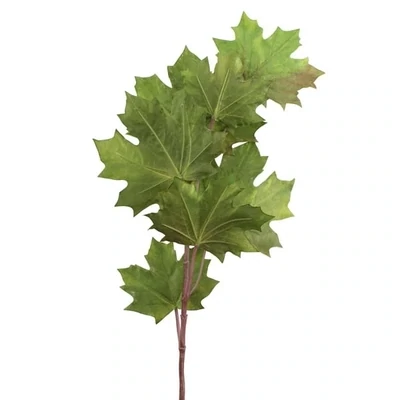 Maple Leaf Spray Green 78cm